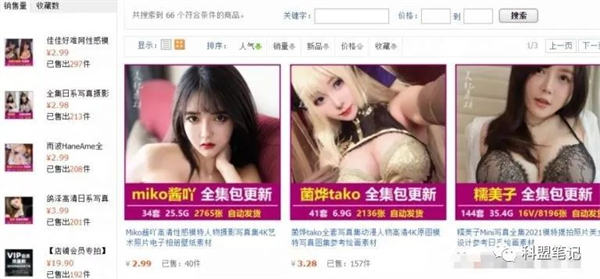 做套图的营销变现纯搬砖也能赚钱 网赚 建站教程 第2张 做套图的营销变现纯搬砖也能赚钱 网赚 建站教程 第2张