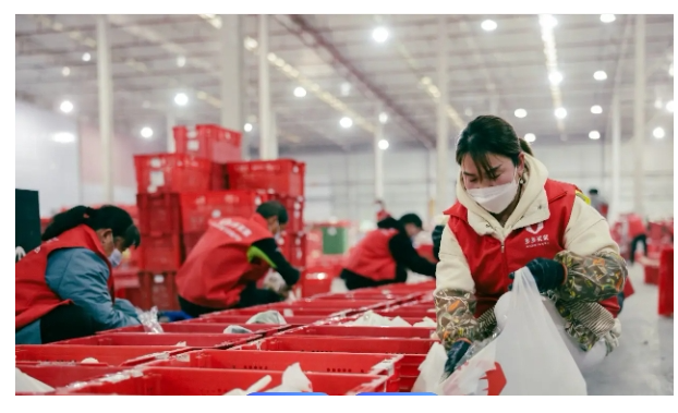 1745078493603173.png image.png