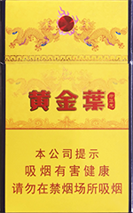 黄金叶(中华龙)
